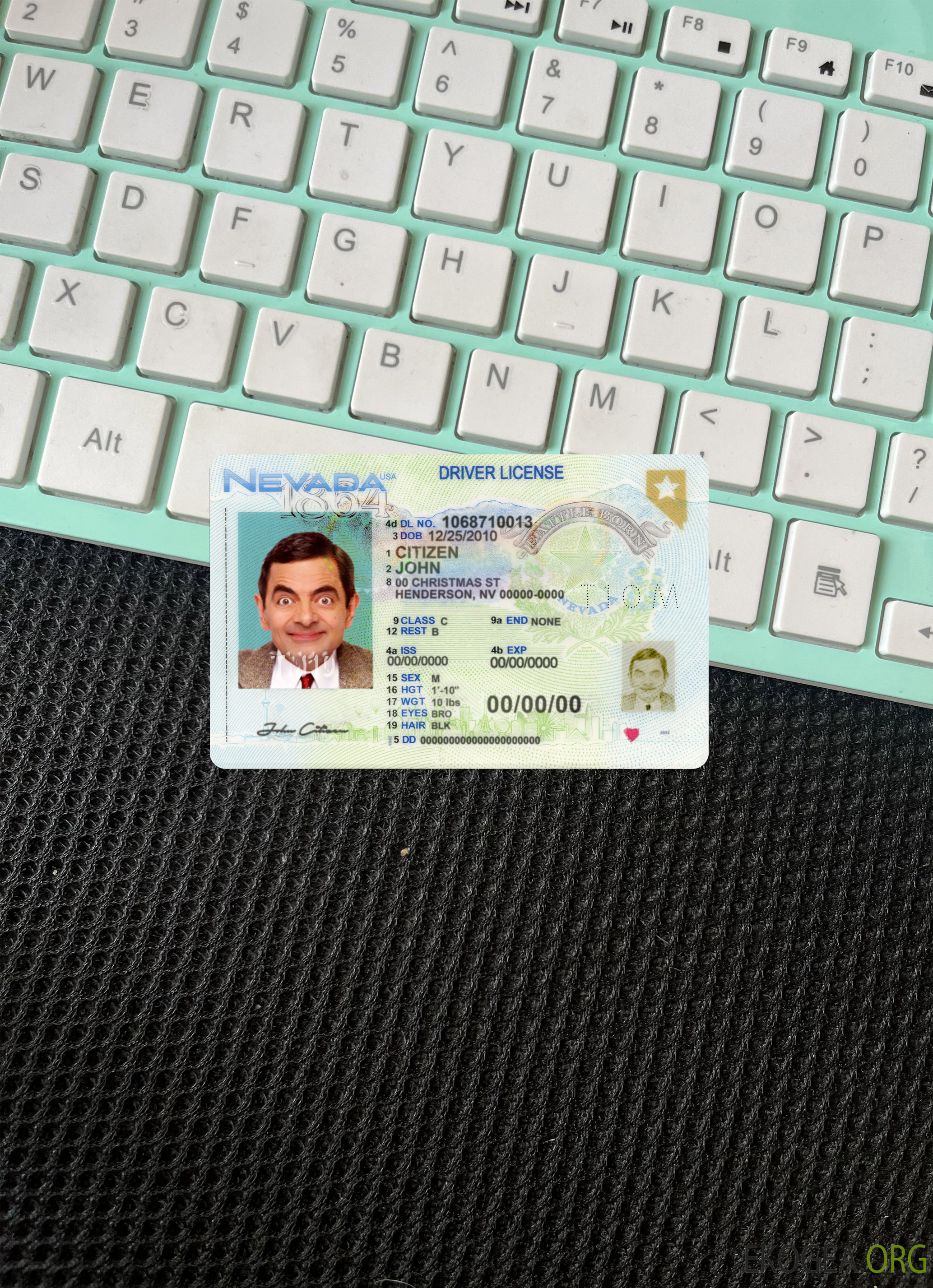 Permis de conduire USA Nevada 2021 présent photolook recto